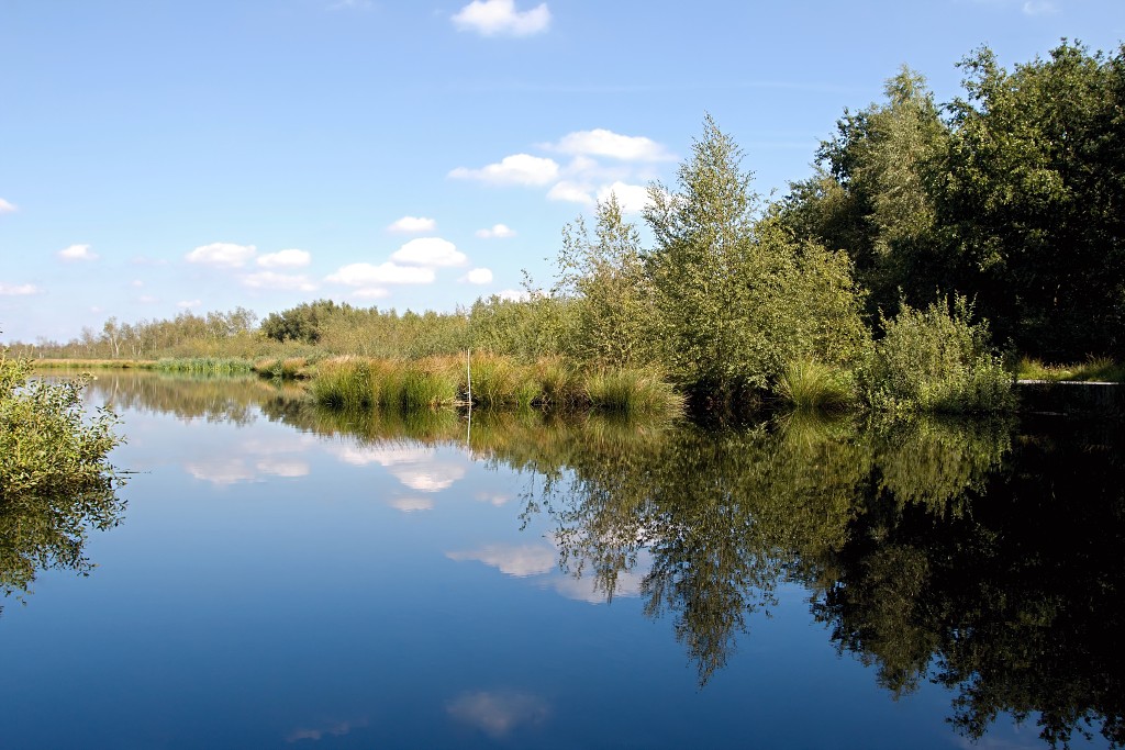 nationaal park de groote peel grote natuurgebied natuur hdr brabant limburg staatsbosbeheer turf veen heide hei bos bossen